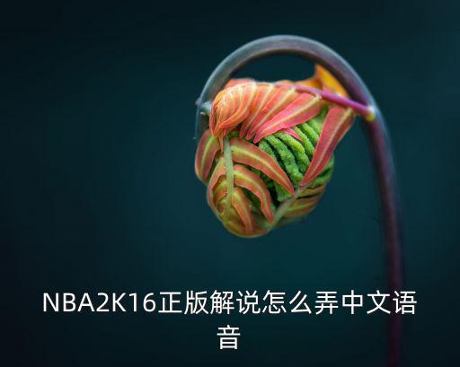 NBA2K16正版解说怎么弄中文语音