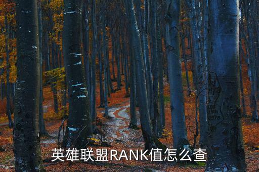 英雄联盟RANK值怎么查