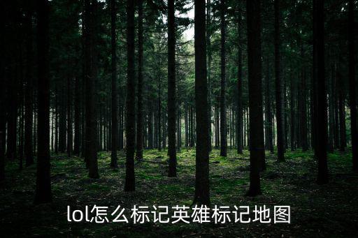 lol怎么标记英雄标记地图