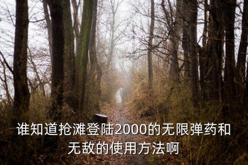 谁知道抢滩登陆2000的无限弹药和无敌的使用方法啊