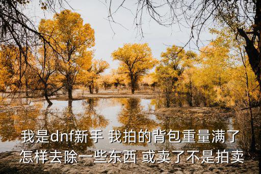 我是dnf新手 我拍的背包重量满了 怎样去除一些东西 或卖了不是拍卖