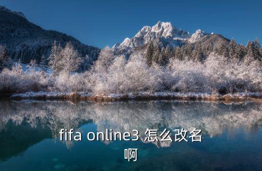 fifa手游版怎么改名，fifaonline3怎样修改用户名