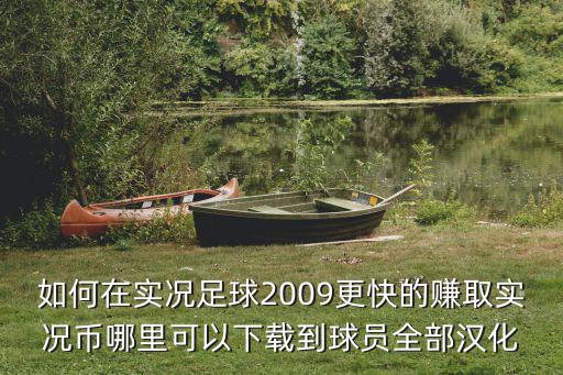 如何在实况足球2009更快的赚取实况币哪里可以下载到球员全部汉化