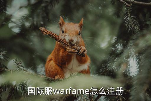 国际服warfame怎么注册