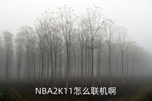 NBA2K11怎么联机啊