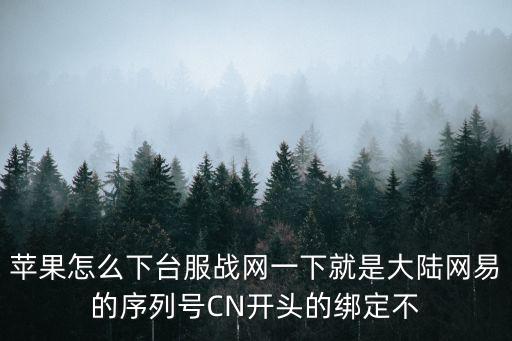 苹果怎么下台服战网一下就是大陆网易的序列号CN开头的绑定不