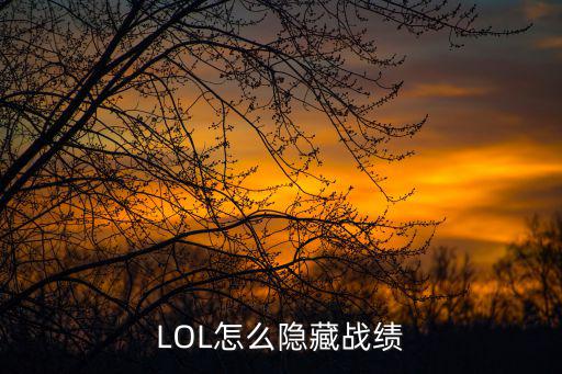 LOL怎么隐藏战绩