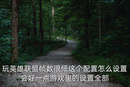 玩英雄联盟帧数很低这个配置怎么设置会好一点游戏里的设置全部