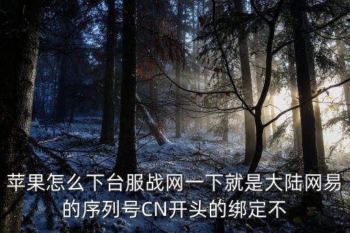 苹果下载英雄联盟手游台服怎么搞，苹果怎么下台服战网一下就是大陆网易的序列号CN开头的绑定不