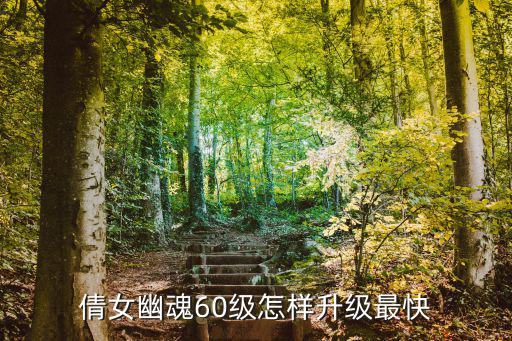 倩女幽魂手游第一天怎么升60级，倩女幽魂新手期如何快速升级