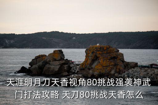 天涯明月刀天香视角80挑战强袭神武门打法攻略 天刀80挑战天香怎么