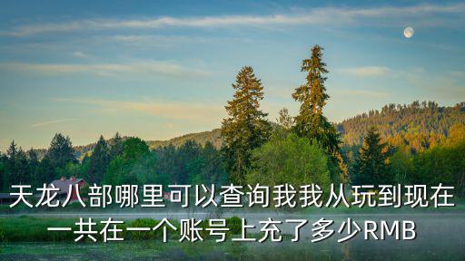 天龙八部哪里可以查询我我从玩到现在一共在一个账号上充了多少RMB