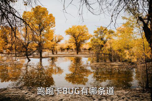 跑跑卡BUG有哪条道