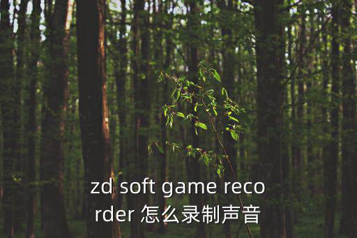 zd soft game recorder 怎么录制声音