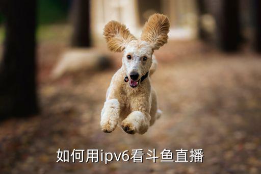 如何用ipv6看斗鱼直播