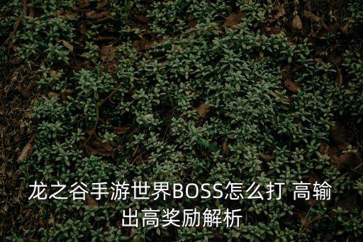 龙之谷手游世界BOSS怎么打 高输出高奖励解析