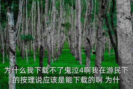 为什么我下载不了鬼泣4啊我在游民下的按理说应该是能下载的啊 为什