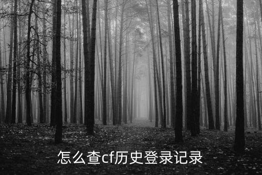 怎么查cf历史登录记录