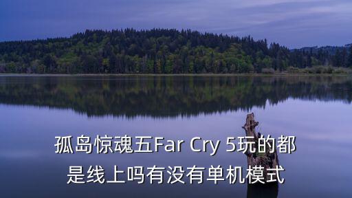 孤岛惊魂五Far Cry 5玩的都是线上吗有没有单机模式