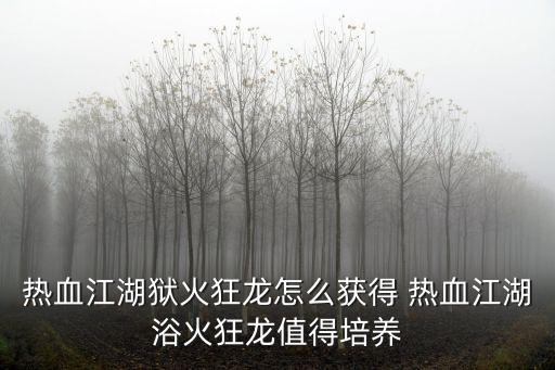 热血江湖狱火狂龙怎么获得 热血江湖浴火狂龙值得培养