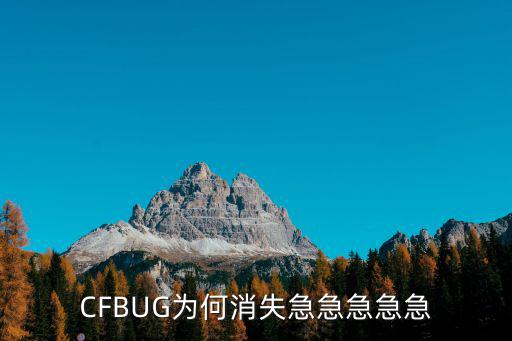 CFBUG为何消失急急急急急