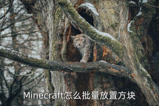 Minecraft怎么批量放置方块