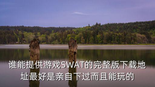 谁能提供游戏SWAT的完整版下载地址最好是亲自下过而且能玩的