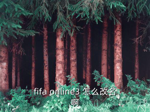 fifa online3 怎么改名啊