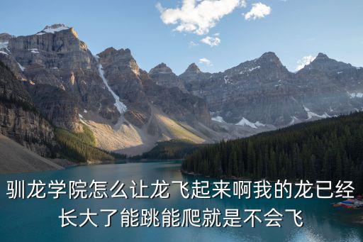 驯龙学院怎么让龙飞起来啊我的龙已经长大了能跳能爬就是不会飞