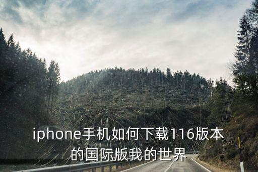 iphone手机如何下载116版本的国际版我的世界