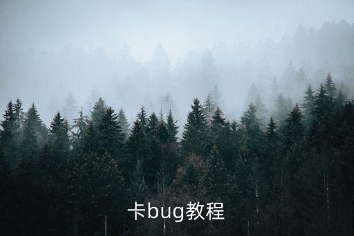 卡bug教程