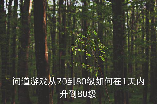 问道游戏从70到80级如何在1天内升到80级