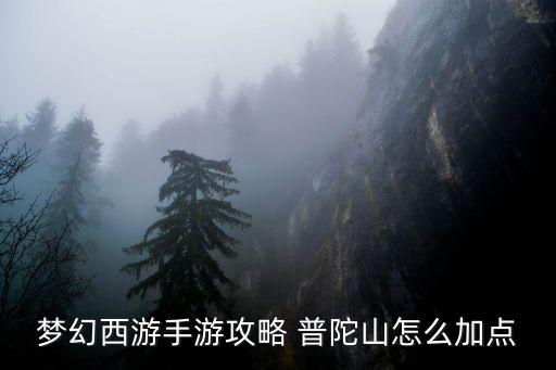 梦幻西游手游攻略 普陀山怎么加点