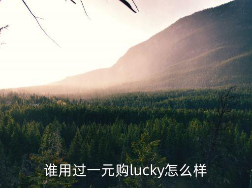 谁用过一元购lucky怎么样