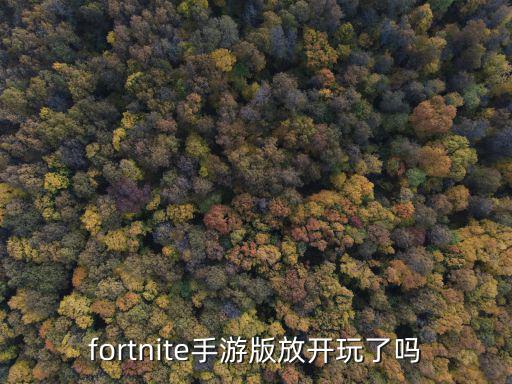 fortnite手游版放开玩了吗