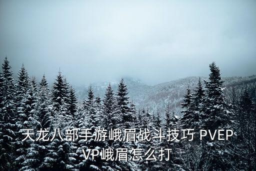 天龙八部手游峨眉战斗技巧 PVEPVP峨眉怎么打