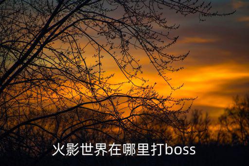 火影世界在哪里打boss