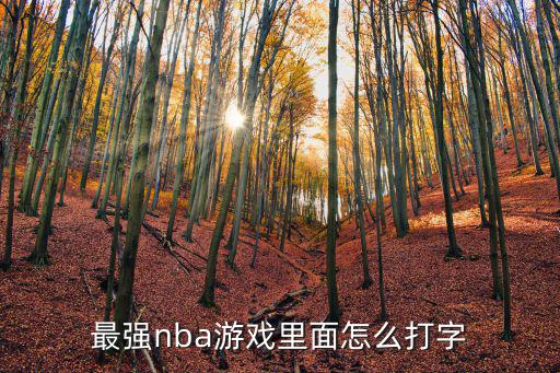 最强nba游戏里面怎么打字