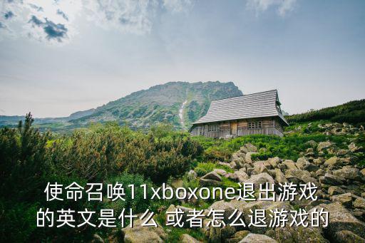 使命召唤11xboxone退出游戏的英文是什么 或者怎么退游戏的