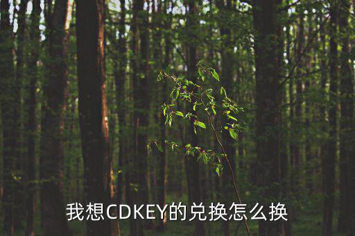 我想CDKEY的兑换怎么换