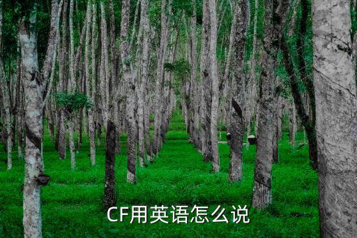 CF用英语怎么说