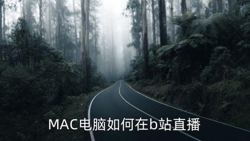 macpro怎么直播手游，MAC电脑如何在b站直播