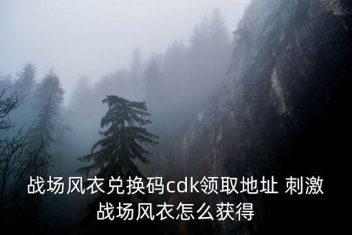 战场风衣兑换码cdk领取地址 刺激战场风衣怎么获得