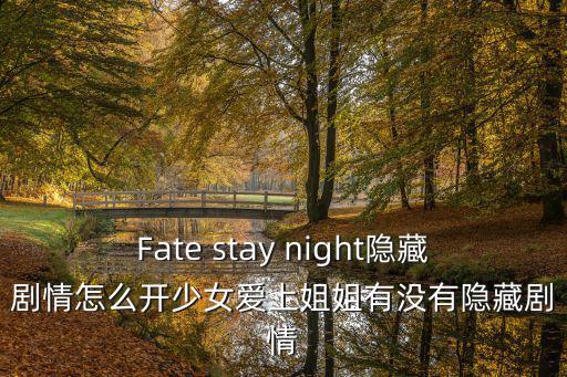 Fate stay night隐藏剧情怎么开少女爱上姐姐有没有隐藏剧情