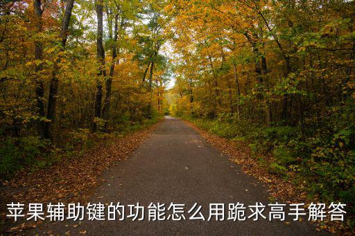 苹果辅助键的功能怎么用跪求高手解答