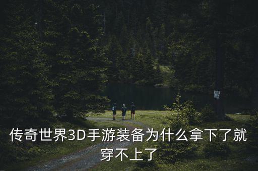 传奇世界3D手游装备为什么拿下了就穿不上了