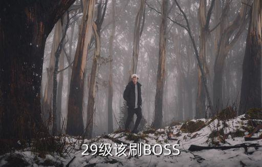 29级该刷BOSS