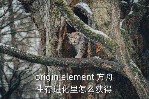 origin element 方舟生存进化里怎么获得