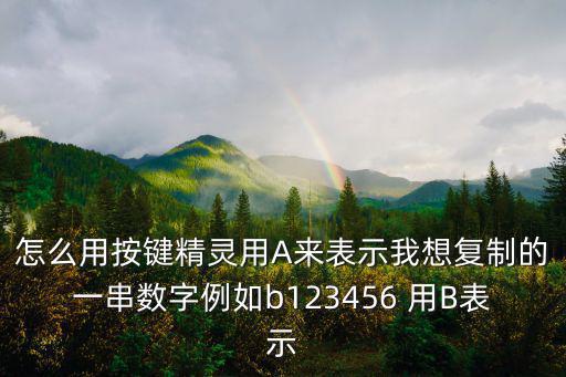 怎么用按键精灵用A来表示我想复制的一串数字例如b123456 用B表示