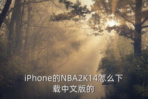 iPhone的NBA2K14怎么下载中文版的